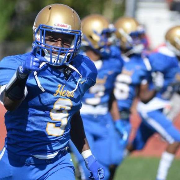 Meet your Posher, Teddy - Picture 1 of 1